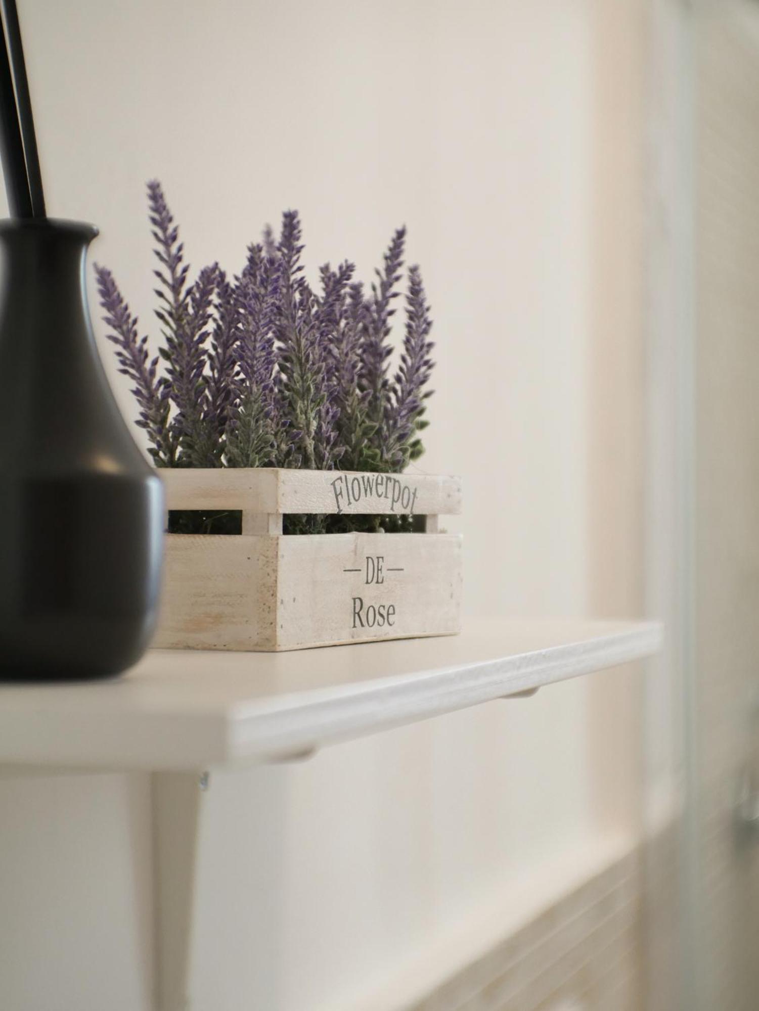Modern 1 Bedroom Near Metro Apartamento Roma
